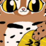 非匪杂谈的头像