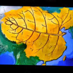 非同凡响的头像