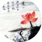 每日廣播的头像