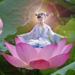 兰容的头像