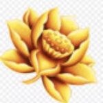玉蓮的头像